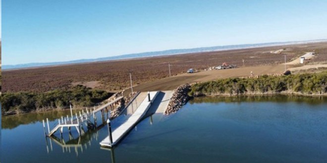 Malleefowl Breeding at Munyaroo Conservation Park for First Time in 10